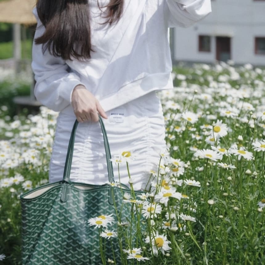 Goyard Saint Louis Pm Bag - Green 綠 - Image 2