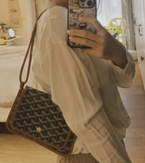 Goyard Plumet pocket - black/brown 黑棕 - Image 5